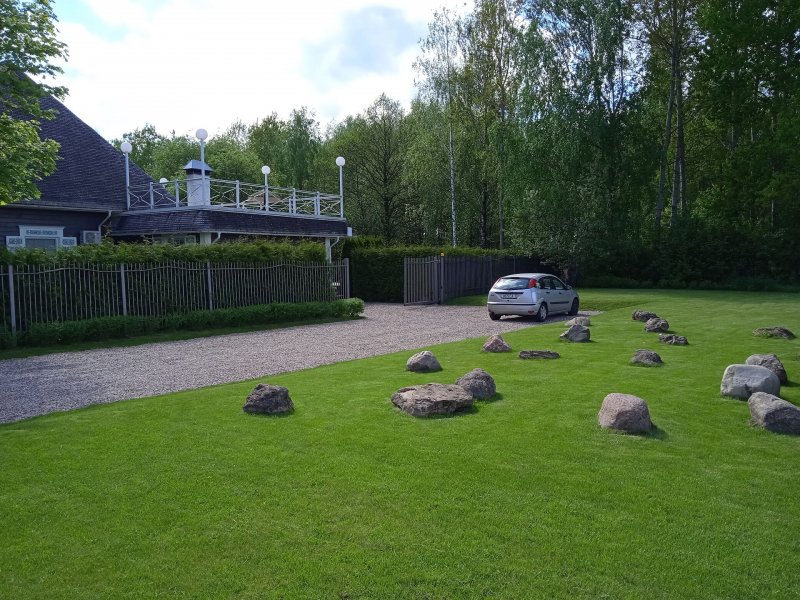 Посадка газона от 3р/м2. Услуги по уходу