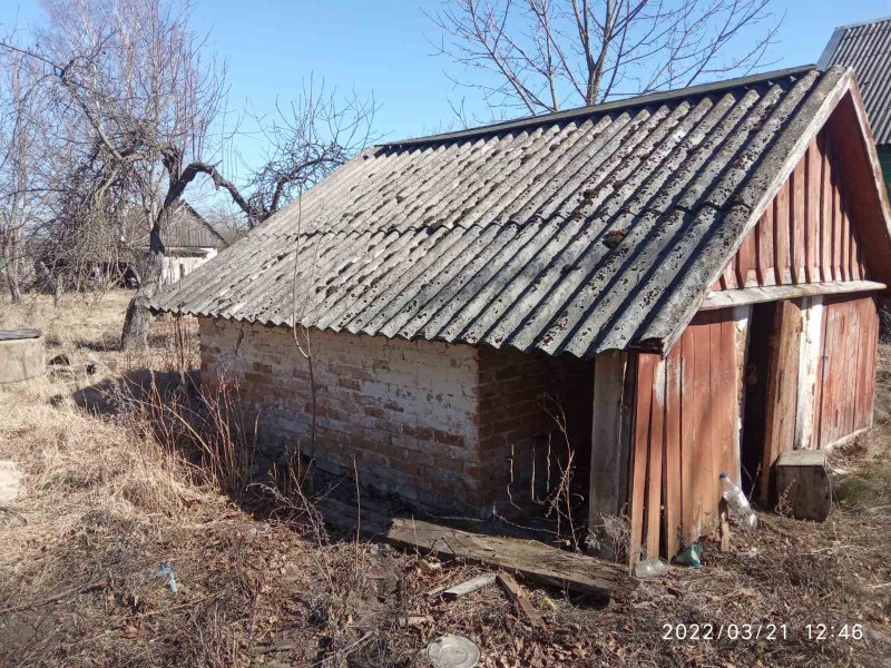 Дом в деревне рядом речка и лес