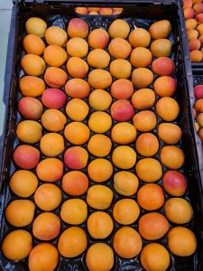 Продаем абрикосы от производителей
