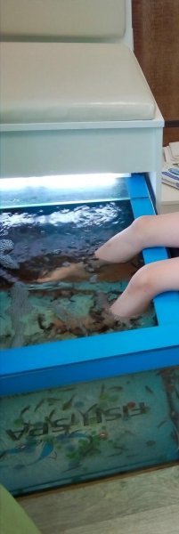 Продам готовый бизнес ПИЛИНГ РЫБКАМИ GARRA RUFA.