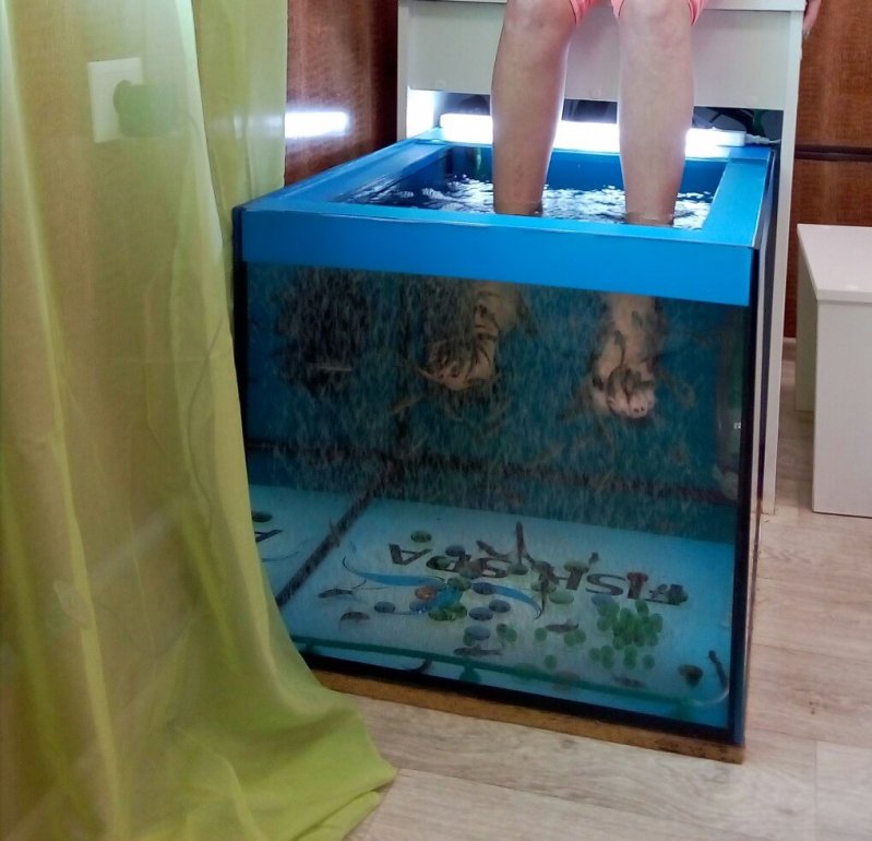 Продам готовый бизнес ПИЛИНГ РЫБКАМИ GARRA RUFA.