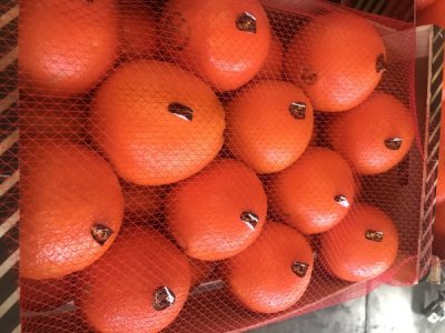 Продаем апельсины от производителей