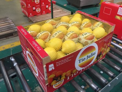 Продаем лимоны от производителей