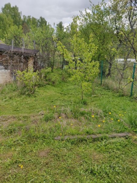 Участок в Молодечненском районе