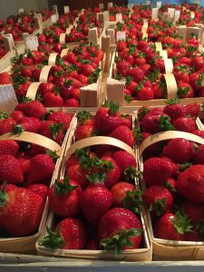 Оборудование для производства.