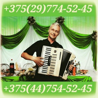 Баянист Ведущий и любая музыка 60+